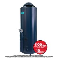 Termotanque gas Eskabe Acquapiu Hybrid4 1100 Lts/h Alta Recuperación - Imagen 2