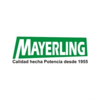 Motor De Agua Mayerling 1 Hp para Compresor Servicio Continuo - Imagen 2